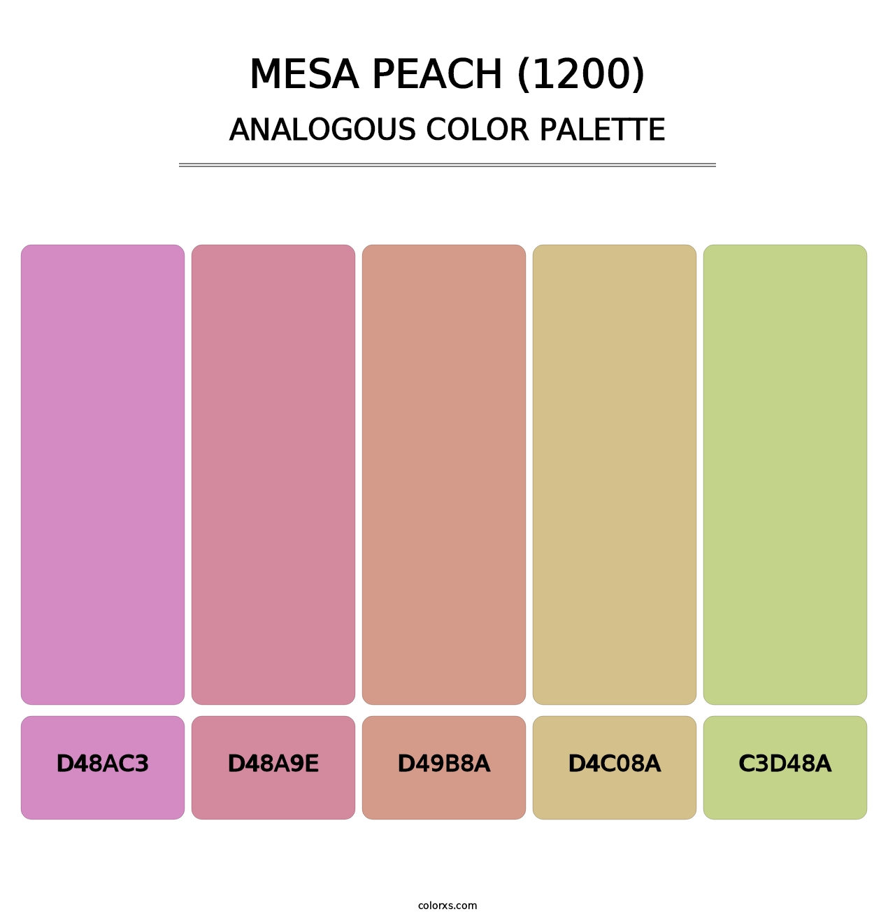 Mesa Peach (1200) - Analogous Color Palette
