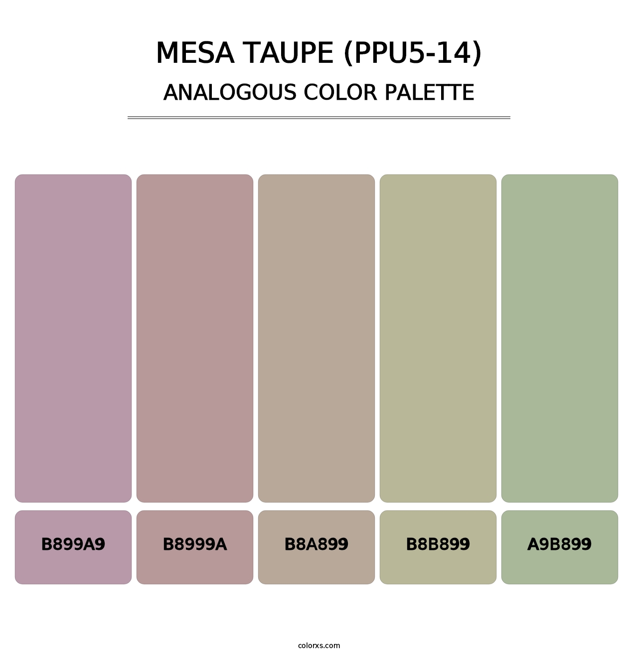 Mesa Taupe (PPU5-14) - Analogous Color Palette