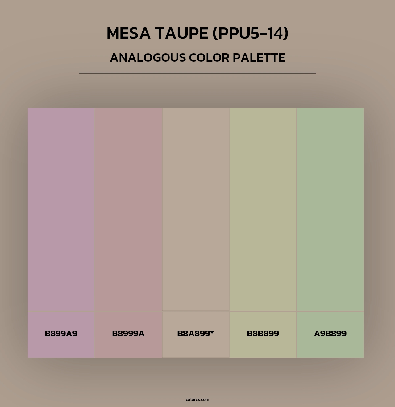 Mesa Taupe (PPU5-14) - Analogous Color Palette
