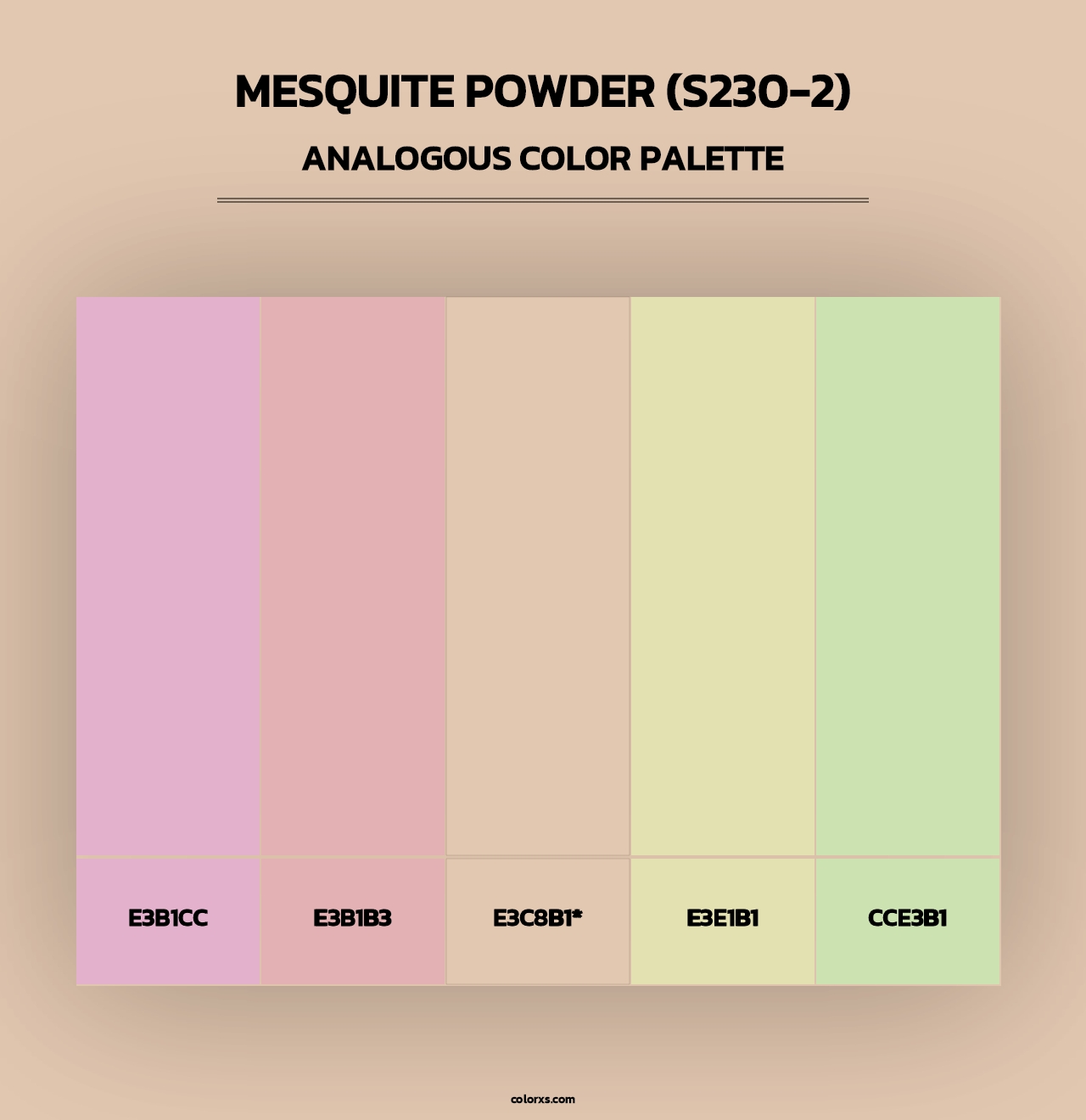 Mesquite Powder (S230-2) - Analogous Color Palette