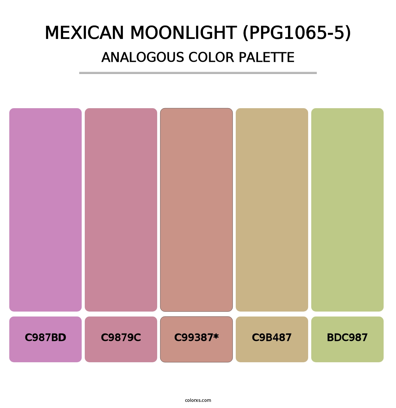 Mexican Moonlight (PPG1065-5) - Analogous Color Palette