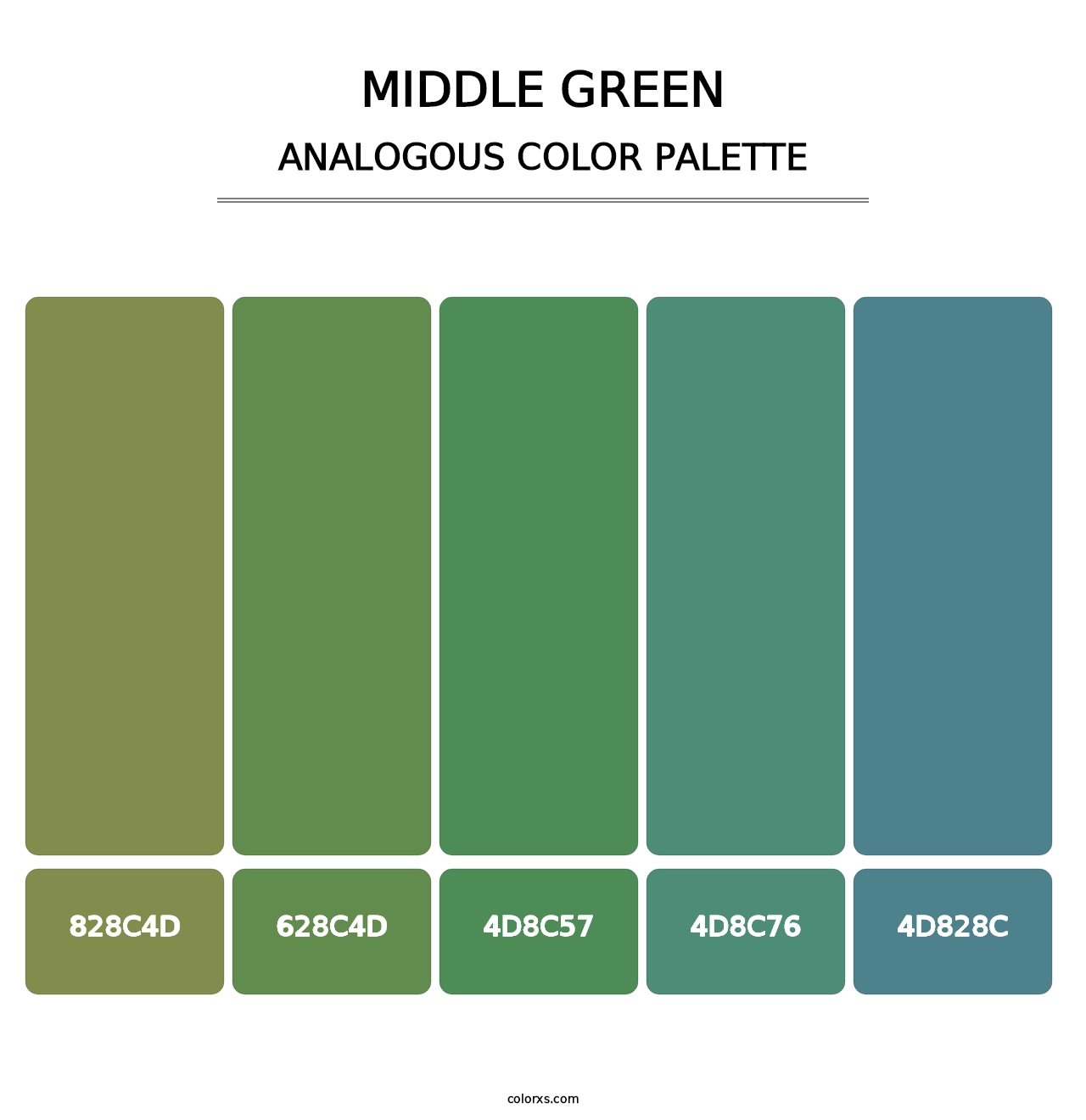 Middle Green - Analogous Color Palette