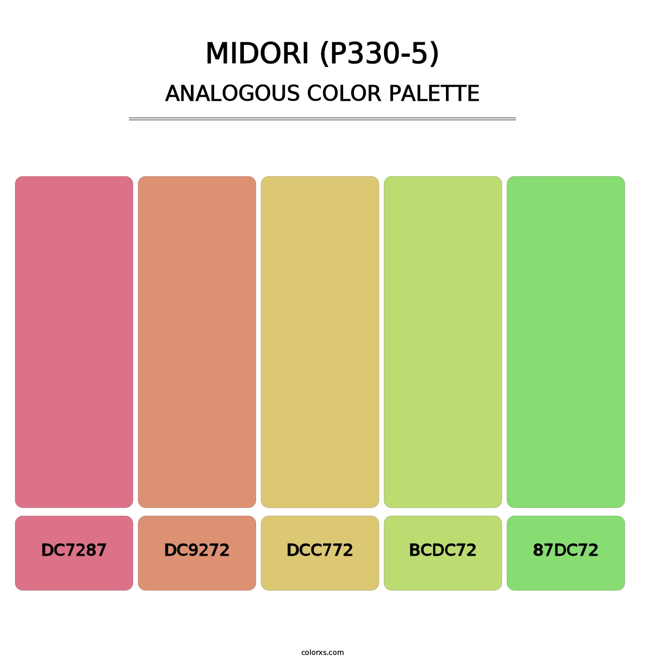 Midori (P330-5) - Analogous Color Palette