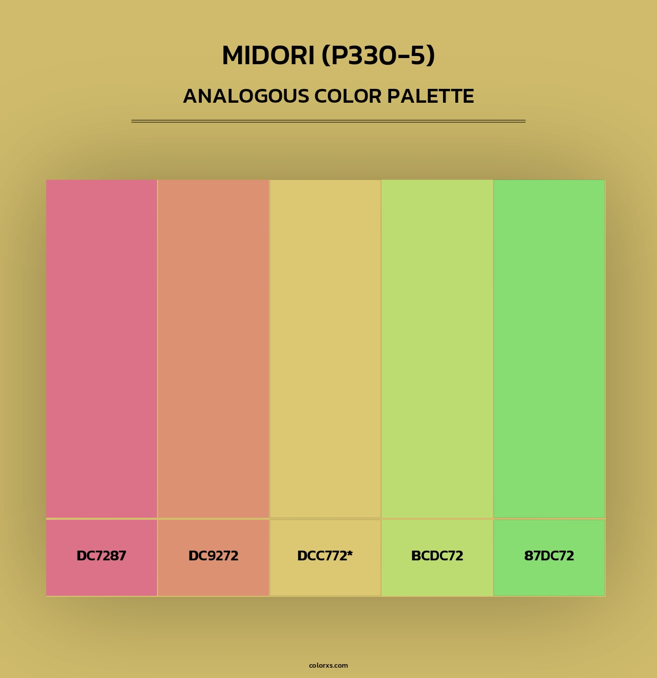 Midori (P330-5) - Analogous Color Palette