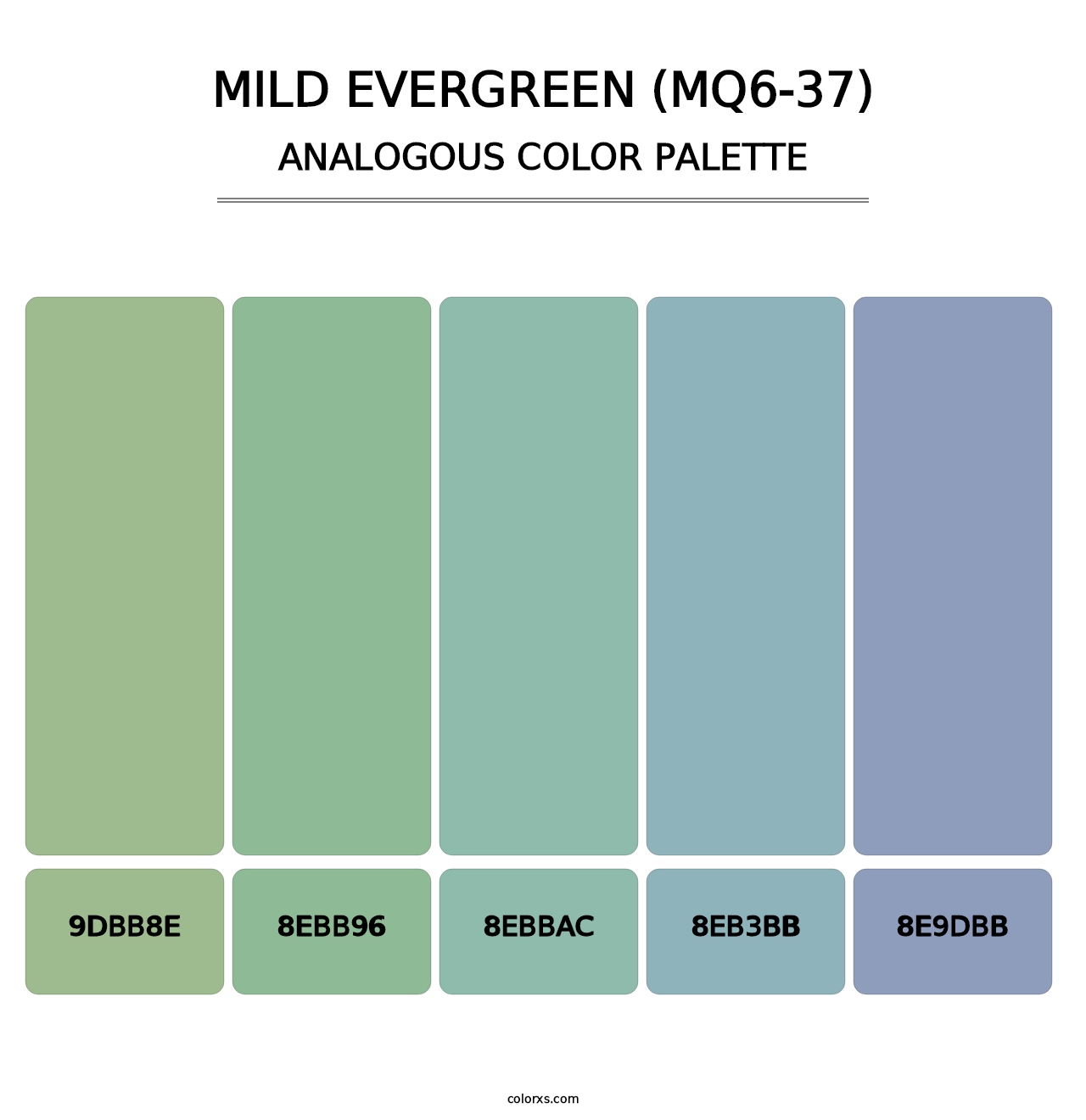 Mild Evergreen (MQ6-37) - Analogous Color Palette