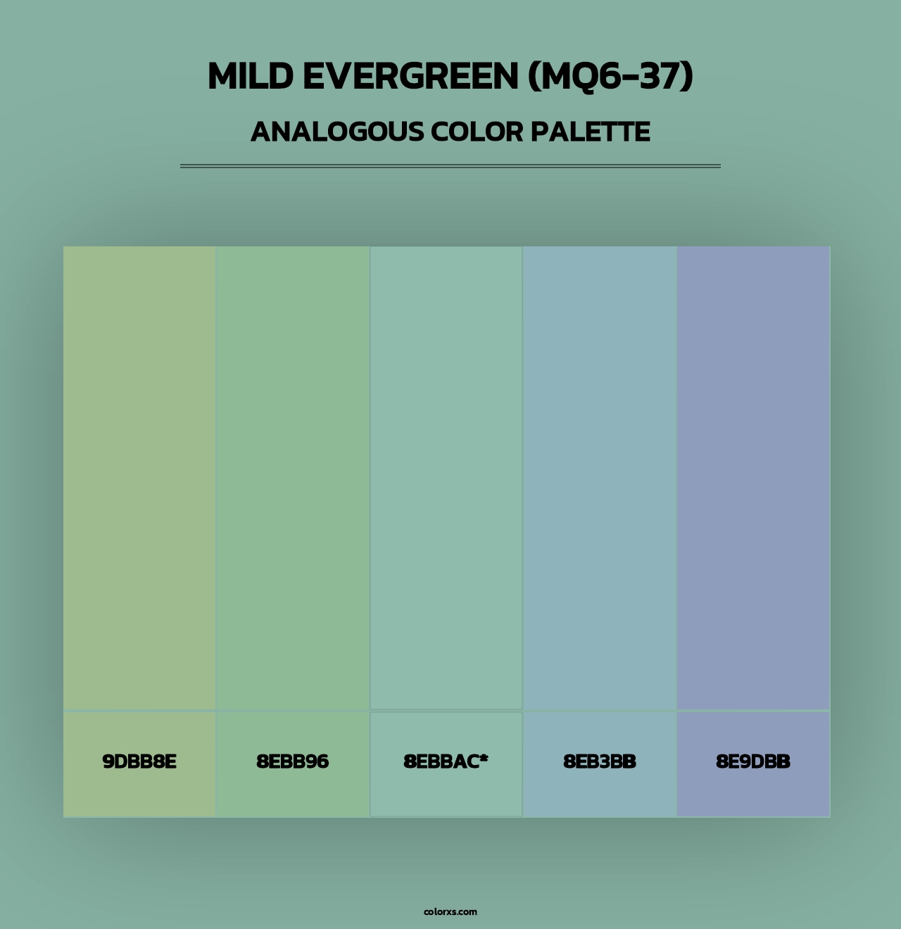 Mild Evergreen (MQ6-37) - Analogous Color Palette