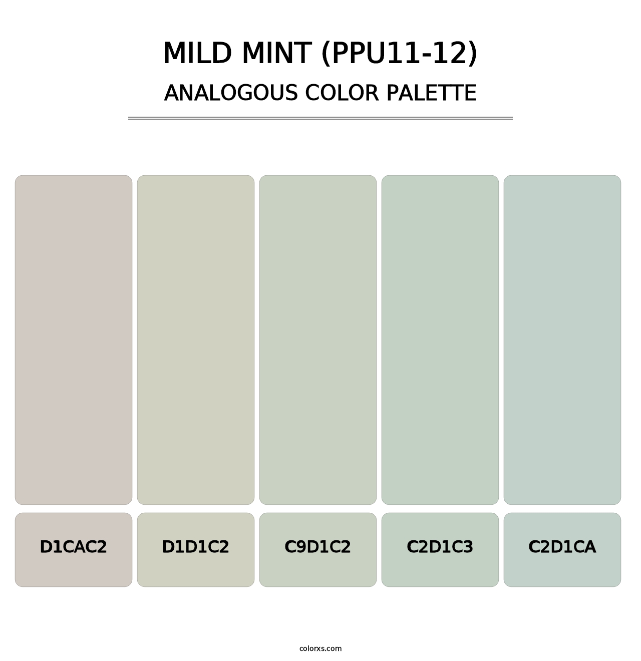 Mild Mint (PPU11-12) - Analogous Color Palette
