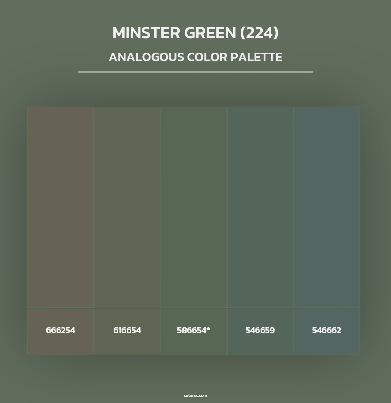 Minster Green (224) - Analogous Color Palette