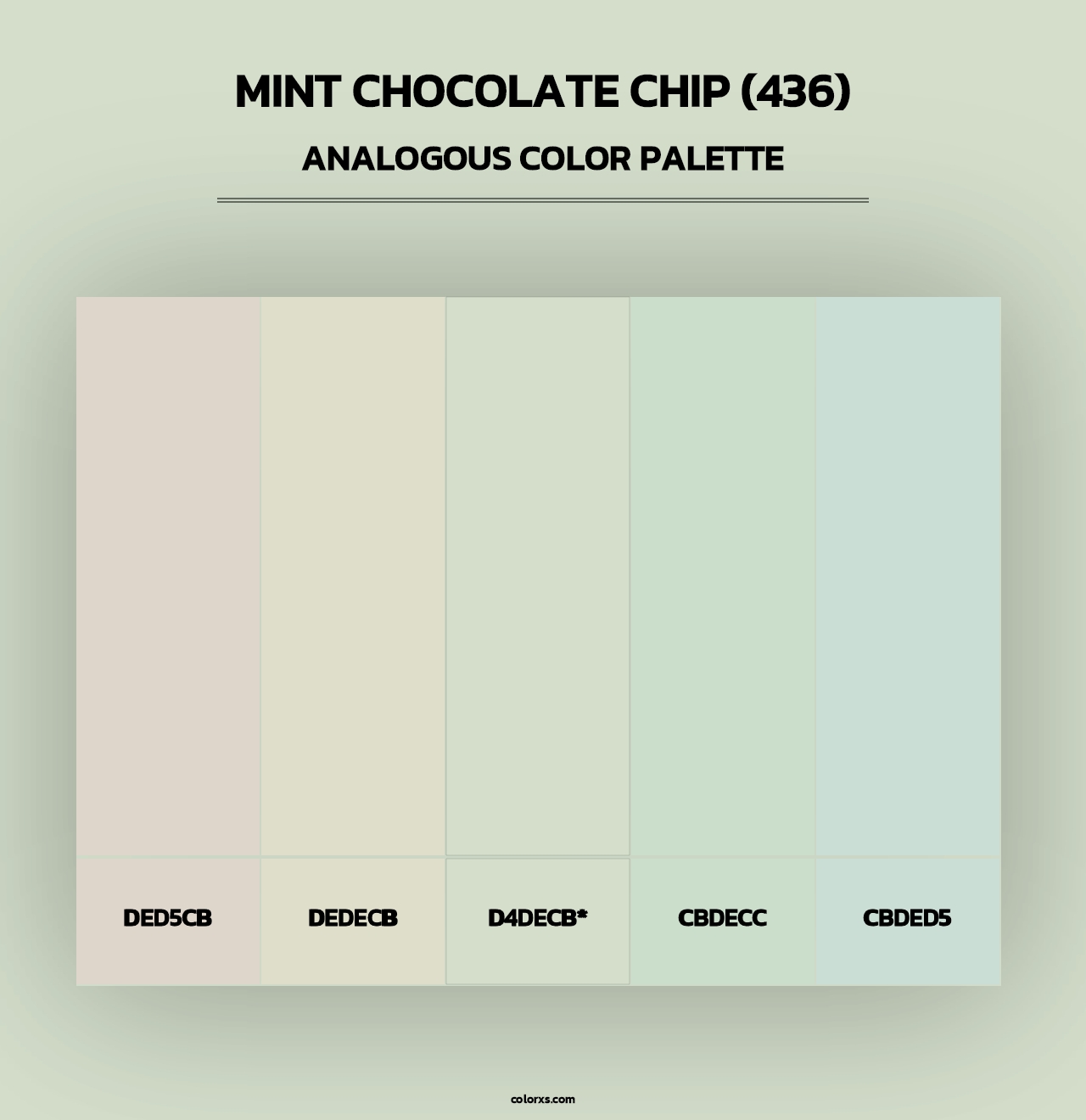 Mint Chocolate Chip (436) - Analogous Color Palette