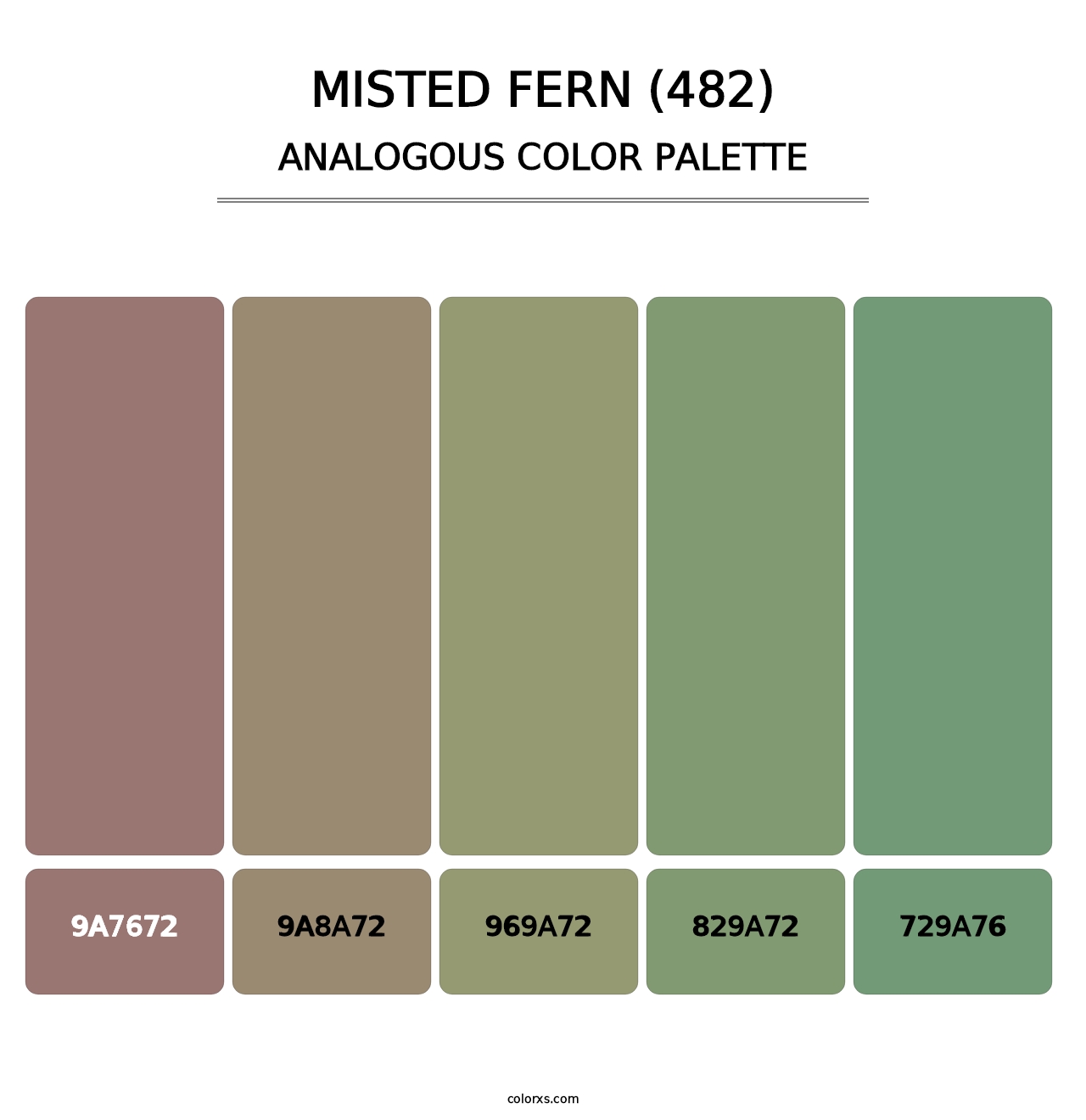 Misted Fern (482) - Analogous Color Palette