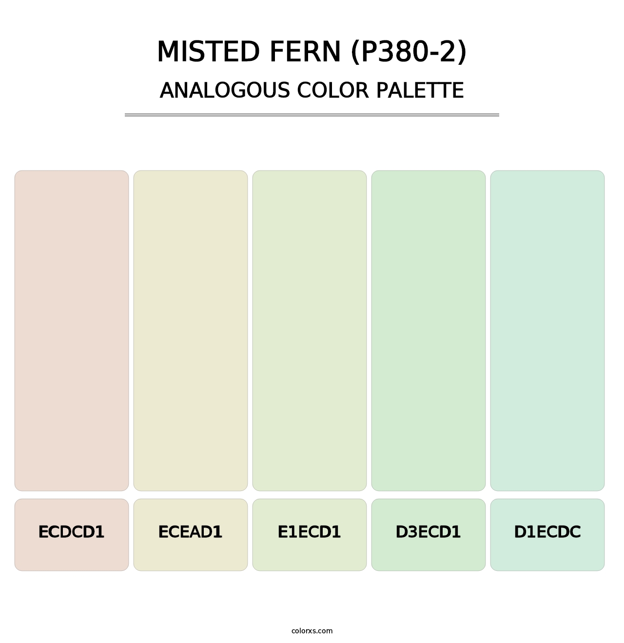 Misted Fern (P380-2) - Analogous Color Palette