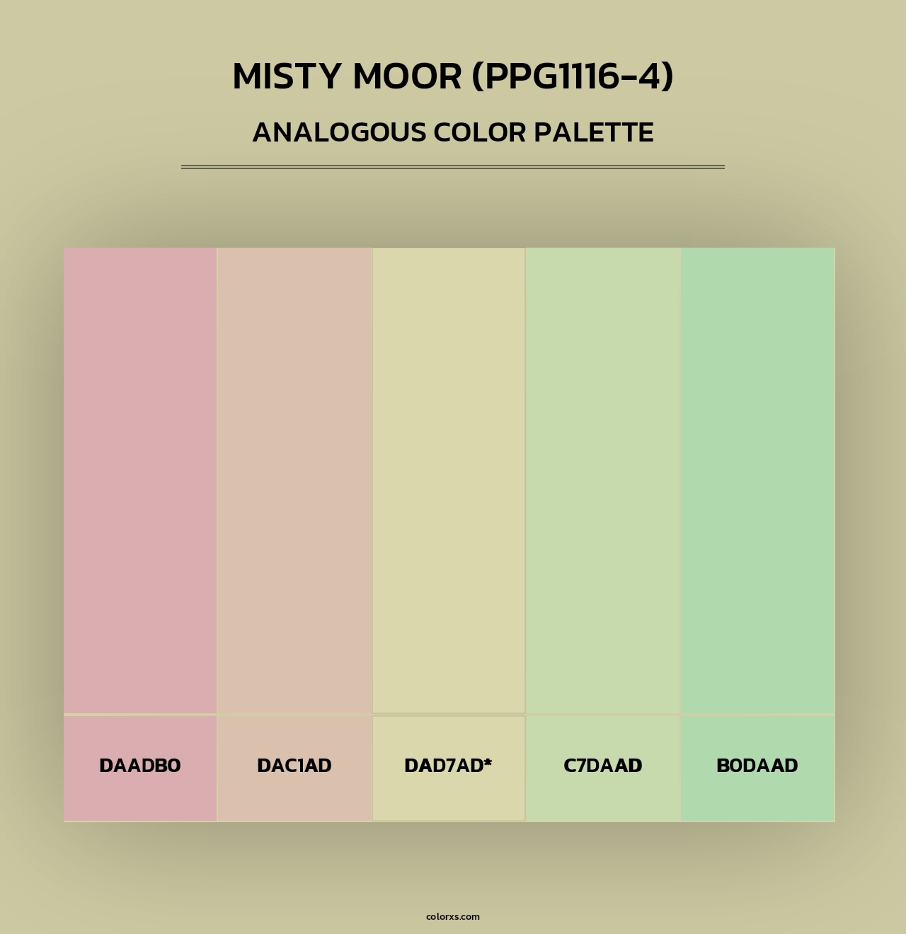Misty Moor (PPG1116-4) - Analogous Color Palette