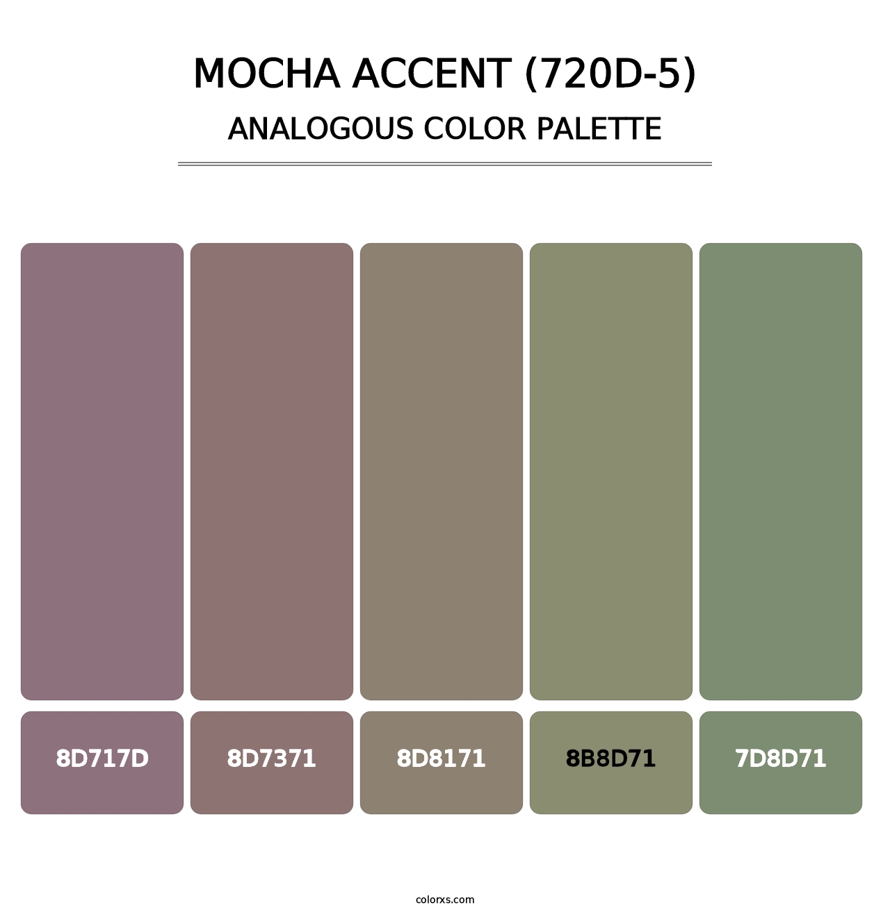 Mocha Accent (720D-5) - Analogous Color Palette