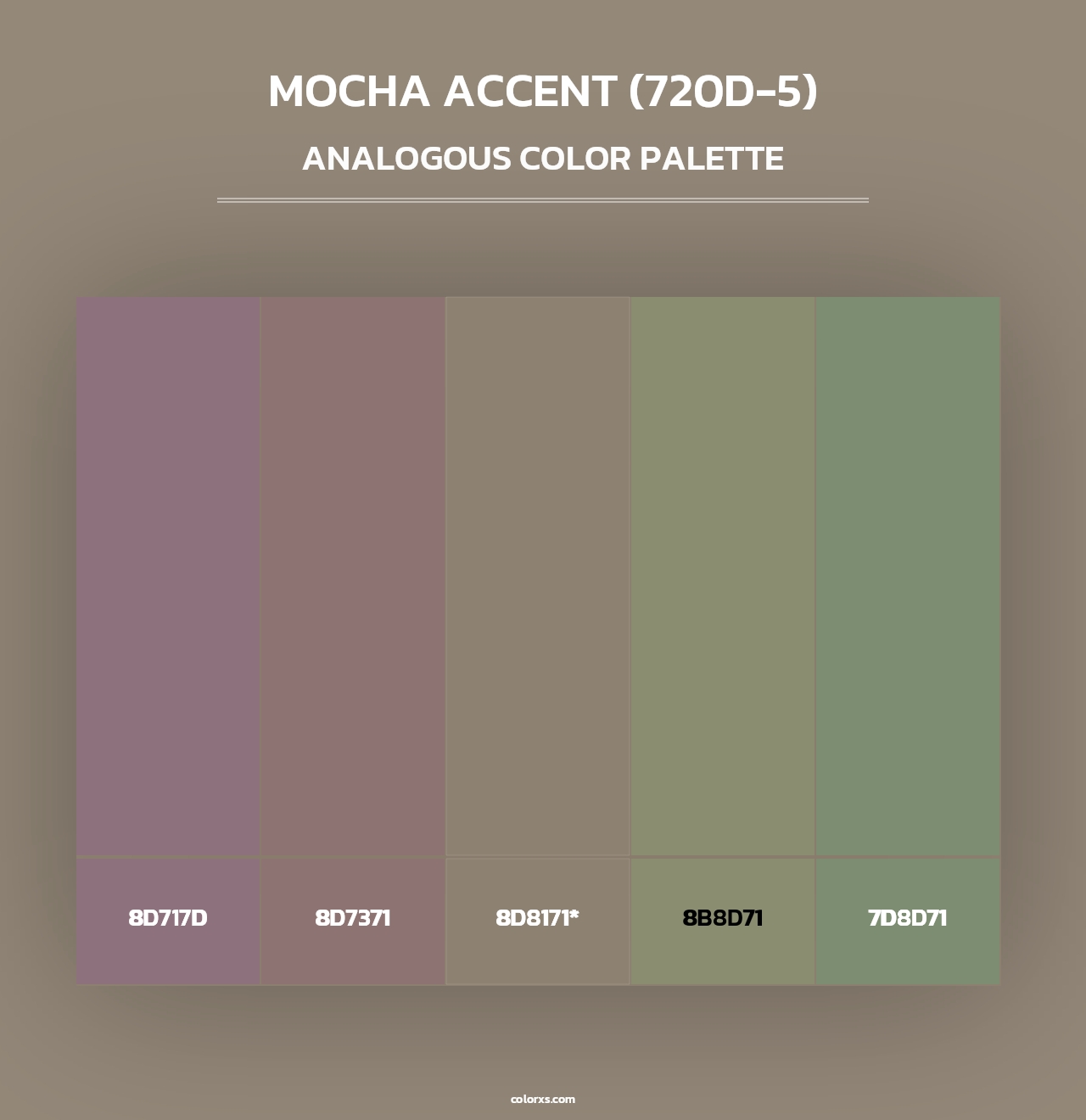 Mocha Accent (720D-5) - Analogous Color Palette