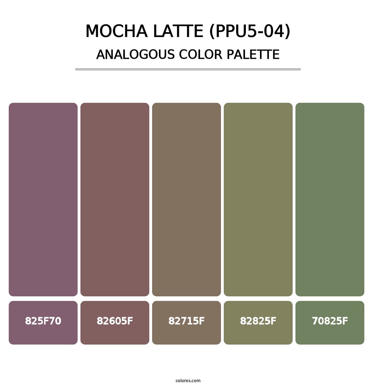 Mocha Latte (PPU5-04) - Analogous Color Palette