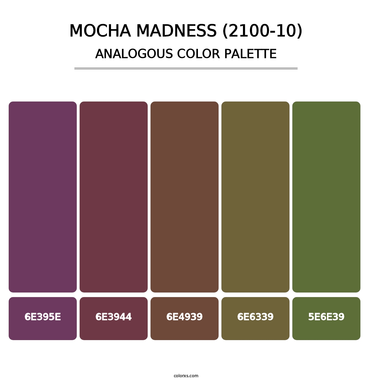Mocha Madness (2100-10) - Analogous Color Palette