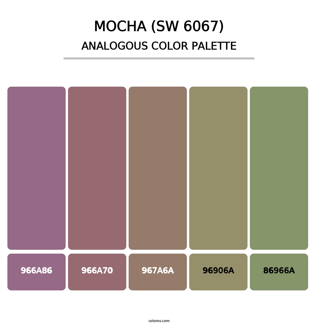 Mocha (SW 6067) - Analogous Color Palette