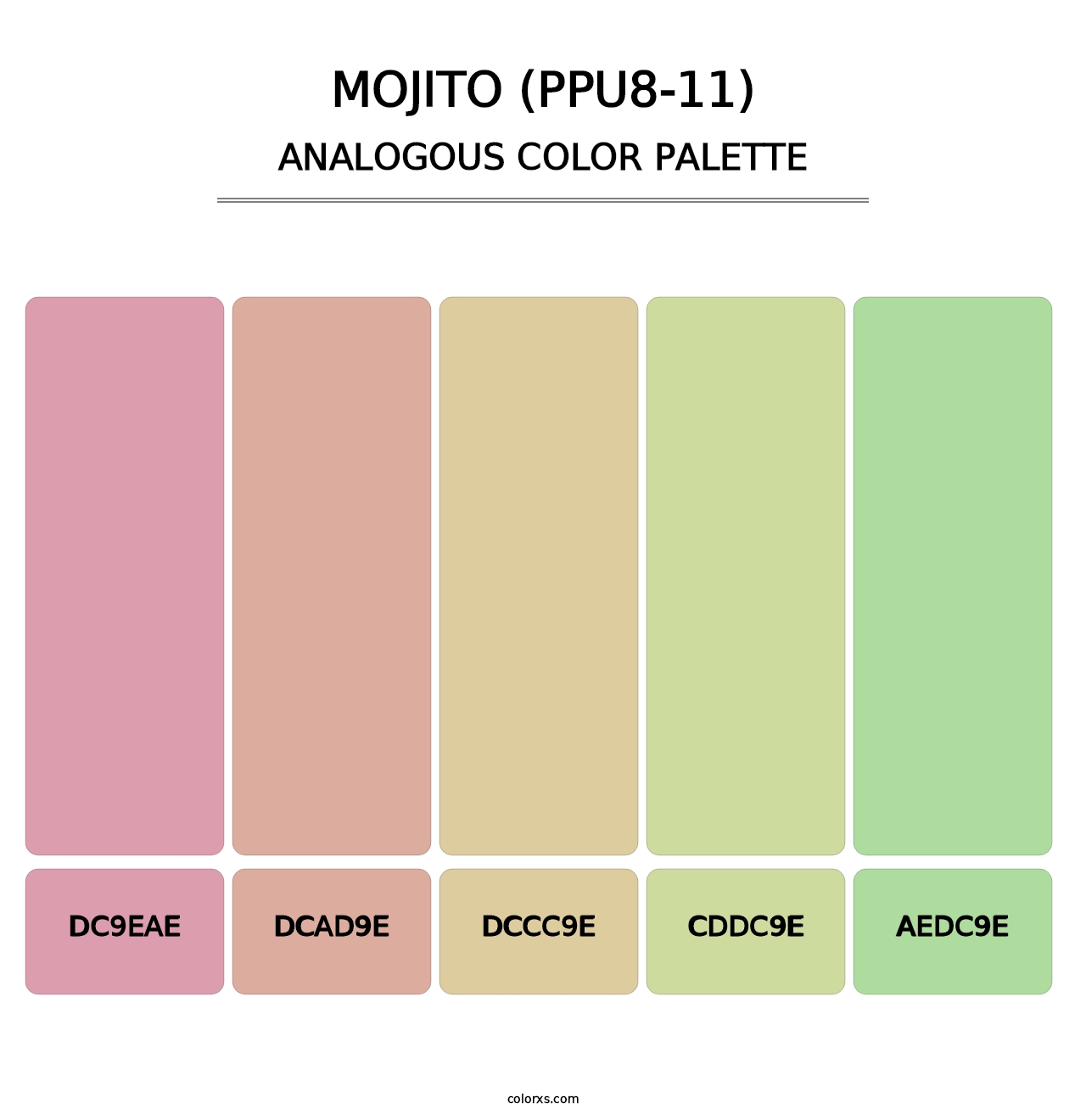 Mojito (PPU8-11) - Analogous Color Palette