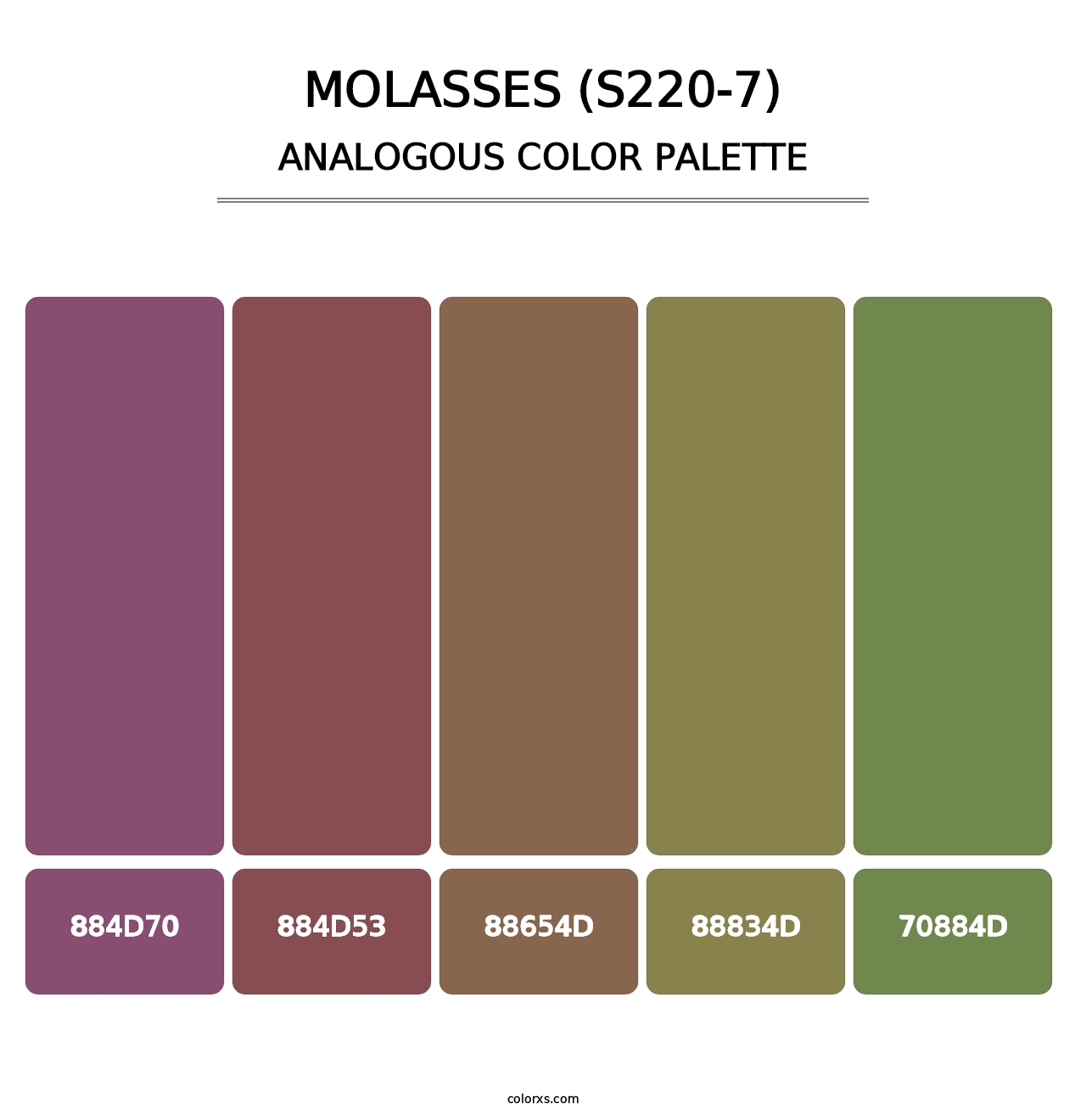 Molasses (S220-7) - Analogous Color Palette