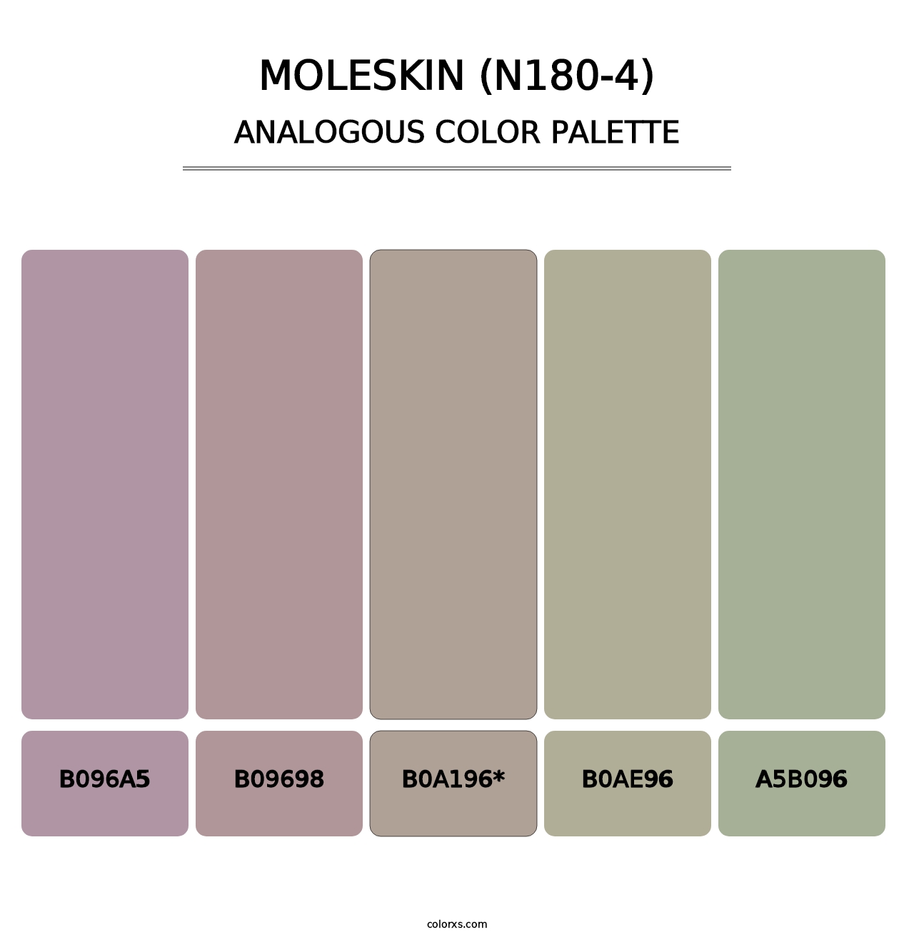 Moleskin (N180-4) - Analogous Color Palette