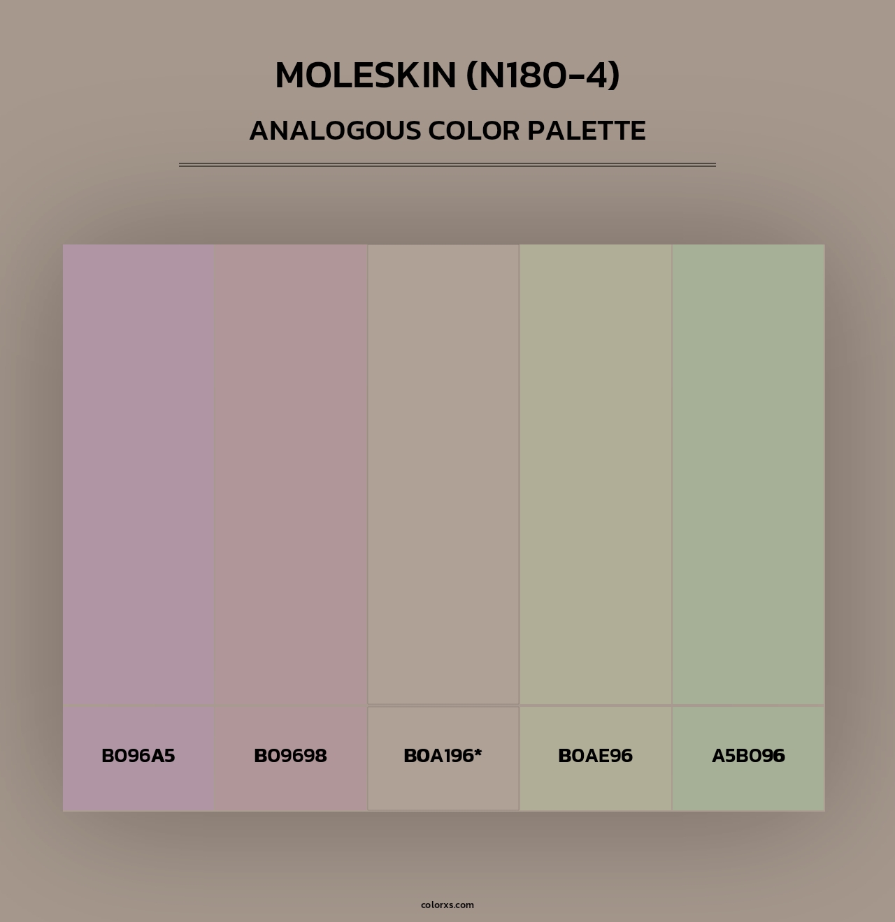 Moleskin (N180-4) - Analogous Color Palette