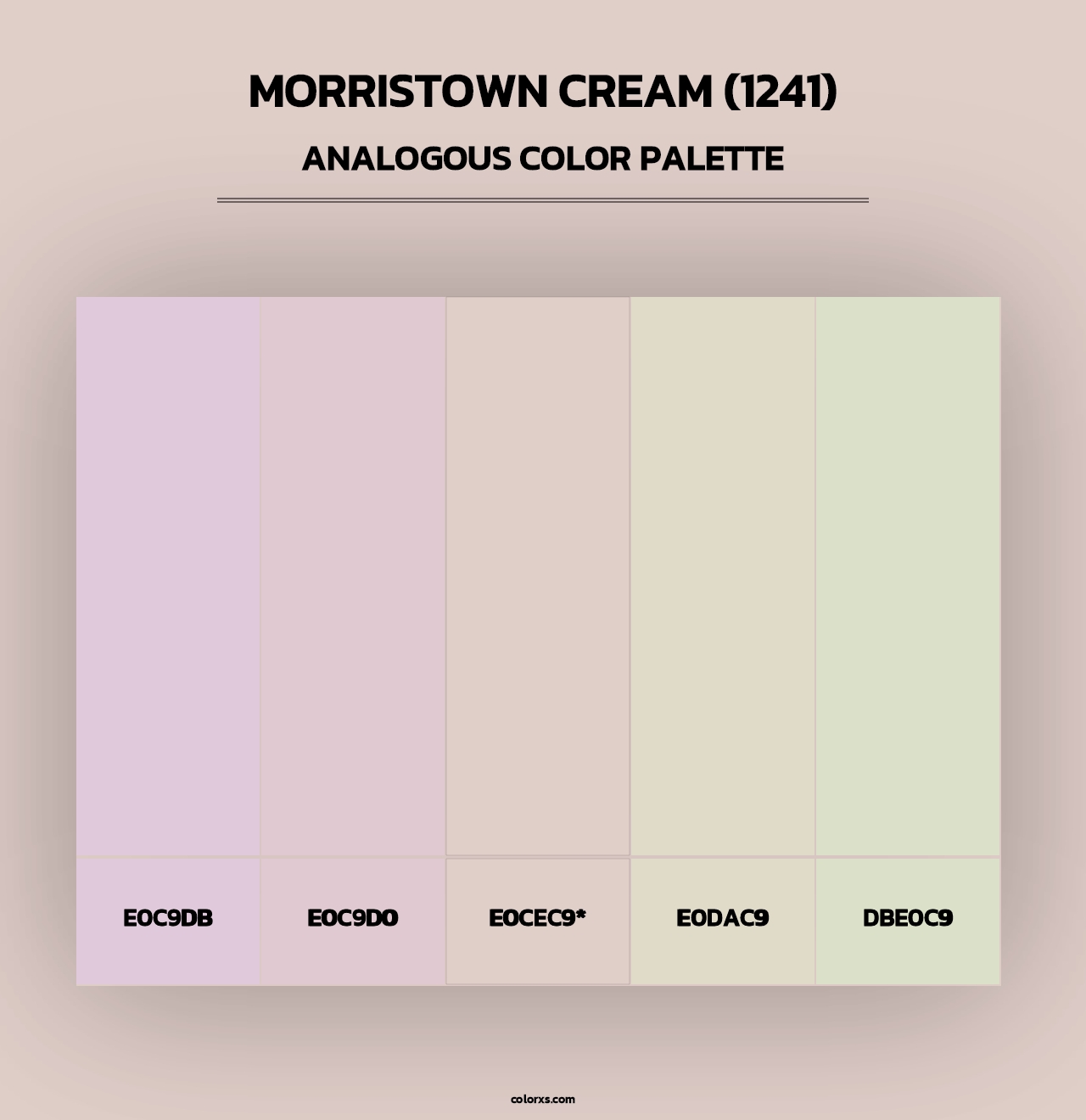 Morristown Cream (1241) - Analogous Color Palette