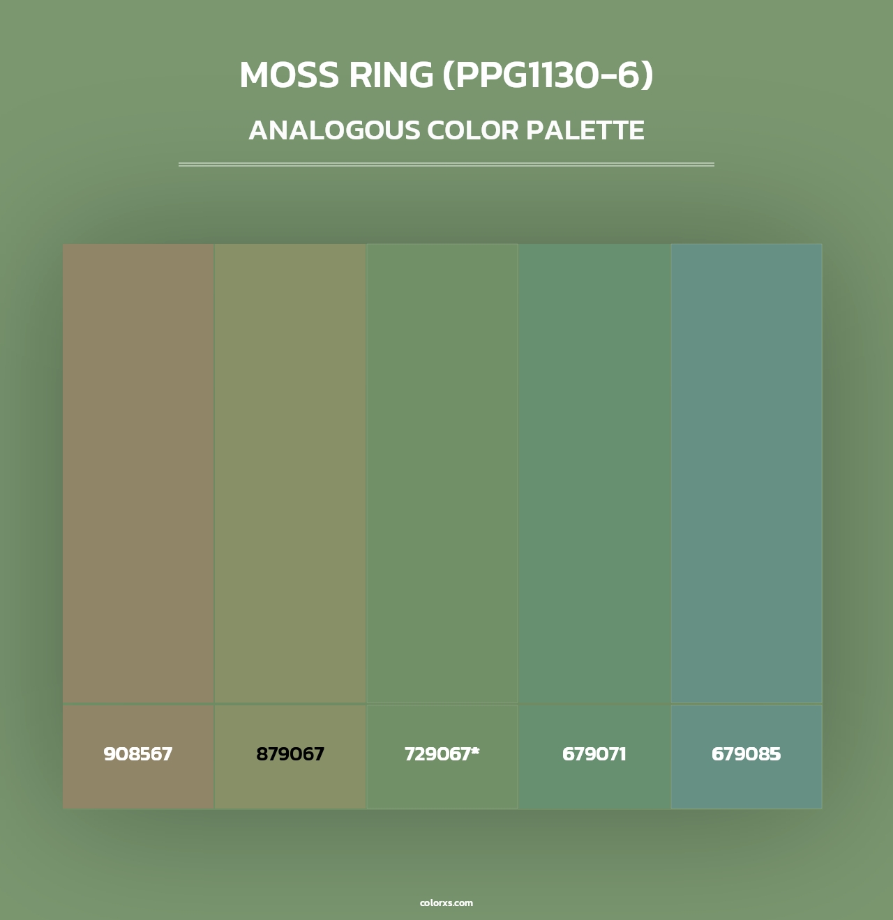 Moss Ring (PPG1130-6) - Analogous Color Palette