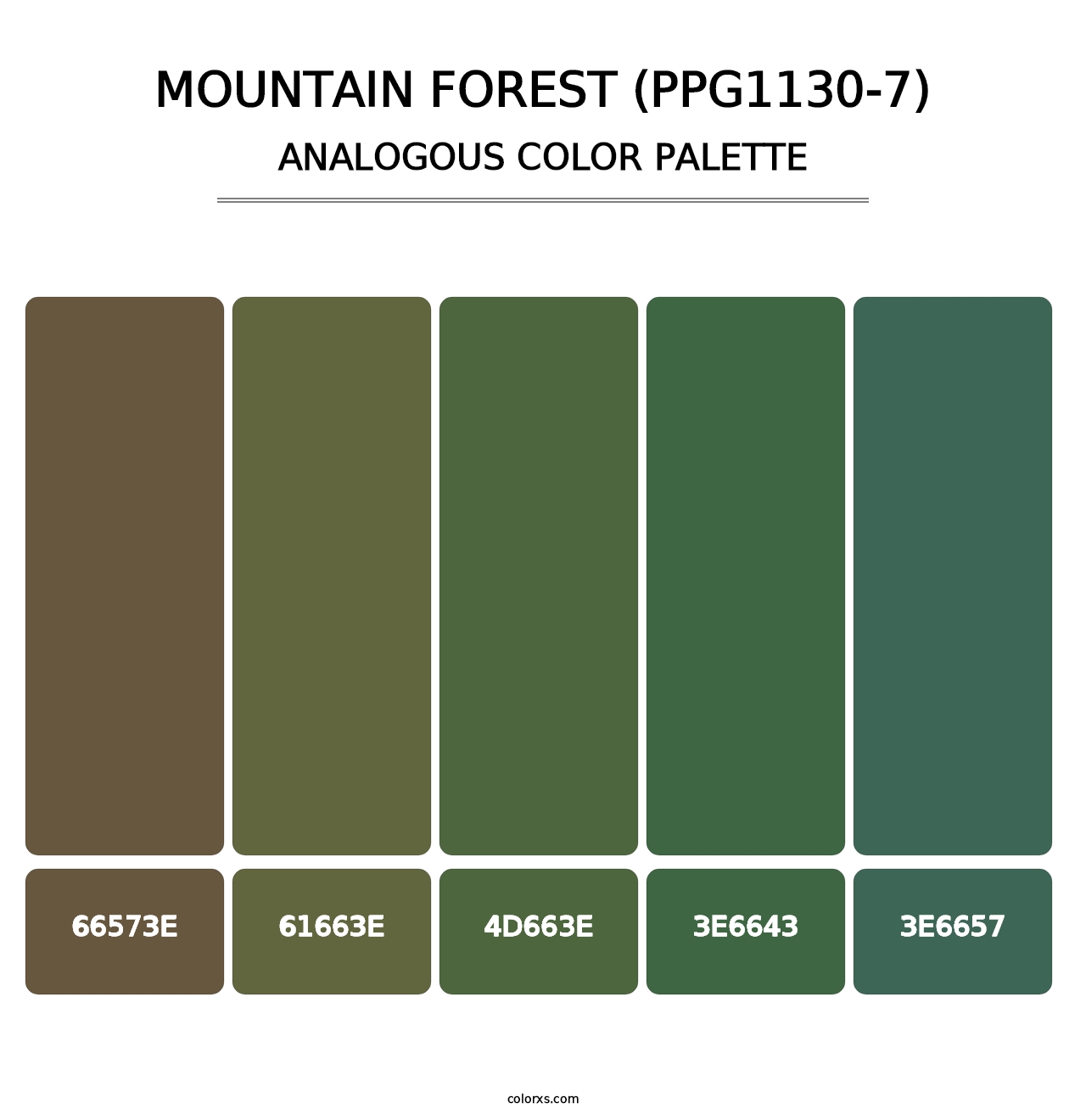 Mountain Forest (PPG1130-7) - Analogous Color Palette