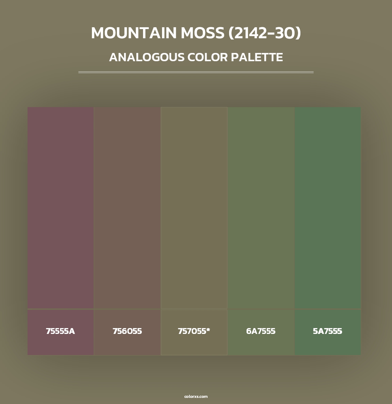 Mountain Moss (2142-30) - Analogous Color Palette