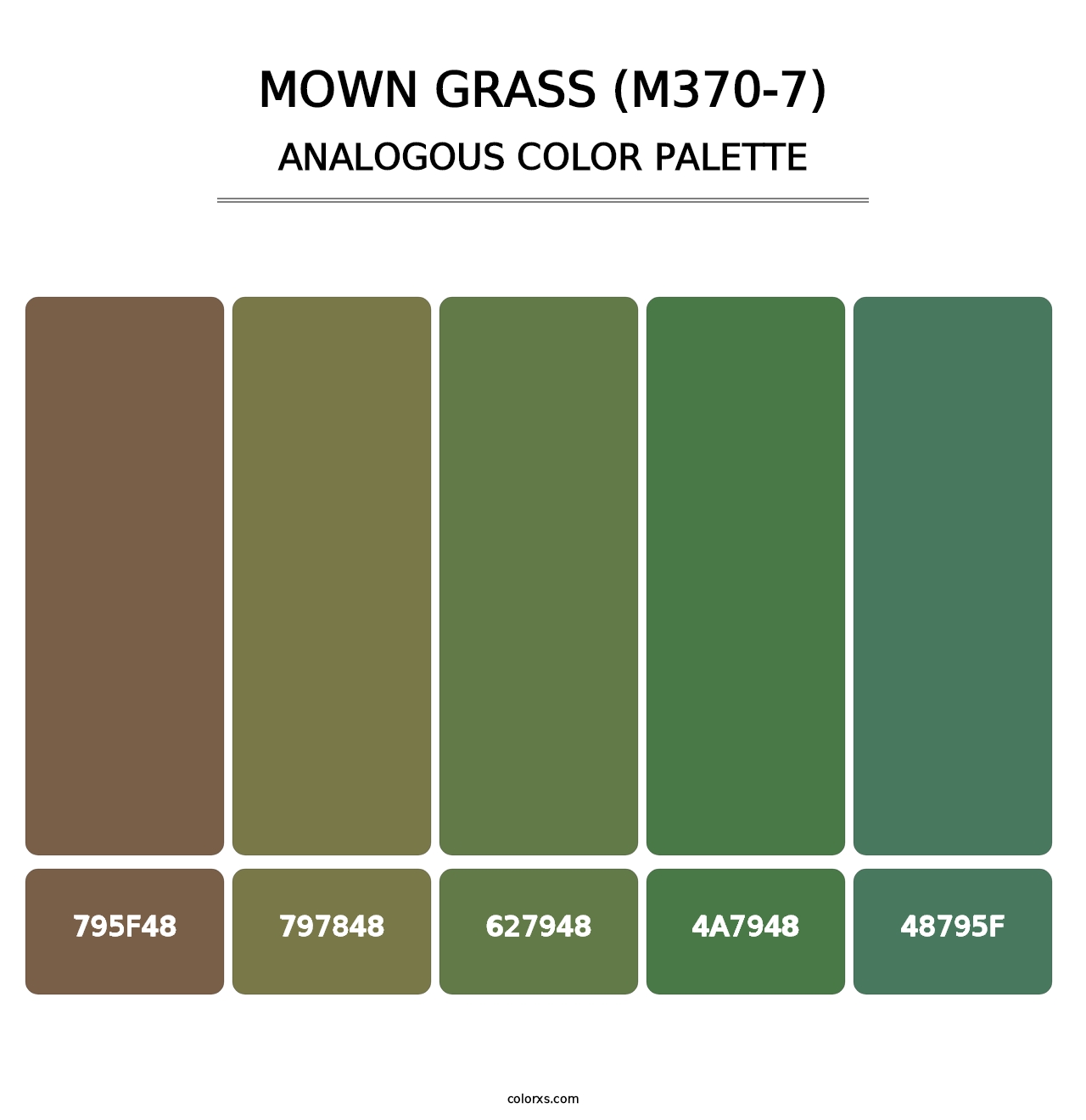 Mown Grass (M370-7) - Analogous Color Palette