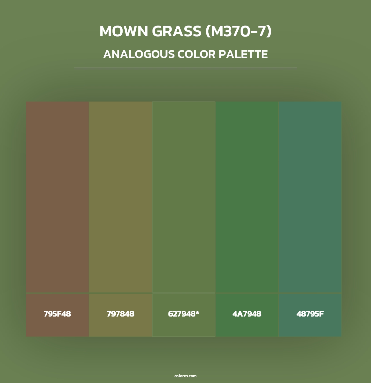 Mown Grass (M370-7) - Analogous Color Palette