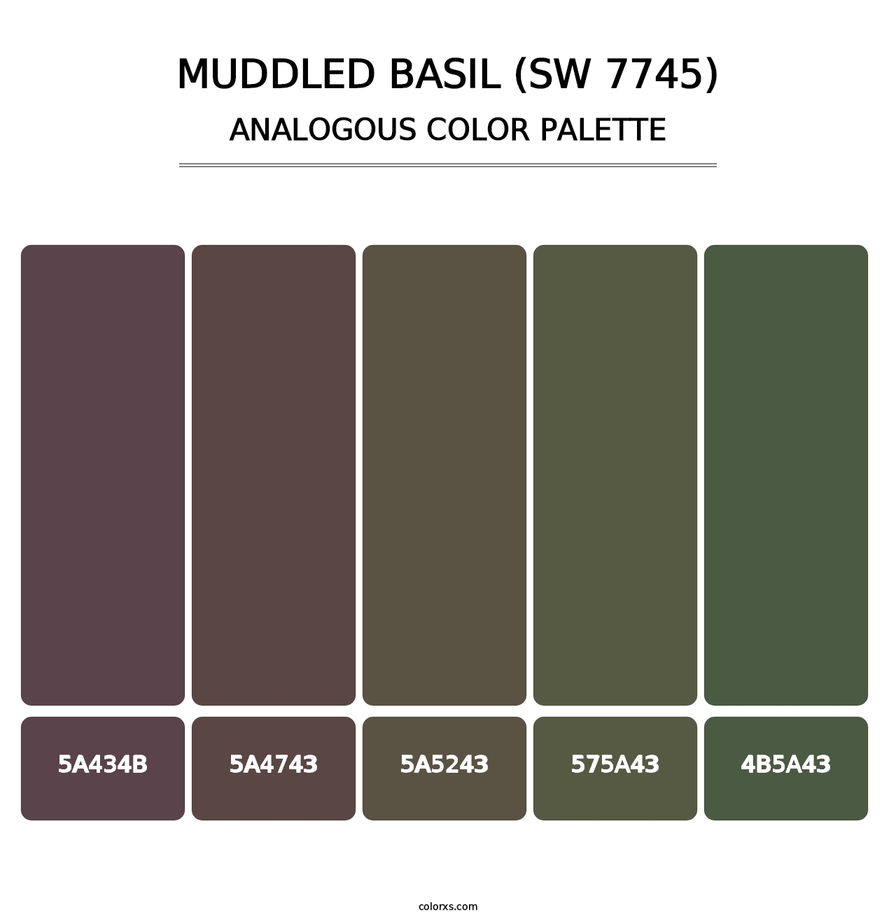 Muddled Basil (SW 7745) - Analogous Color Palette