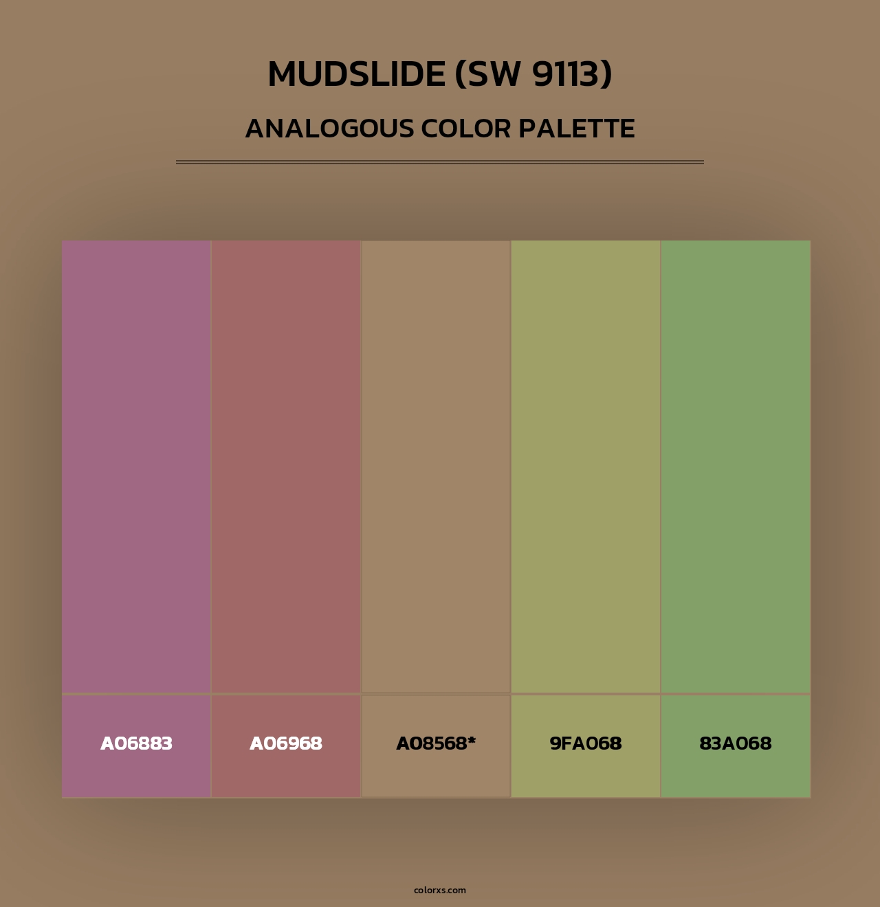 Mudslide (SW 9113) - Analogous Color Palette