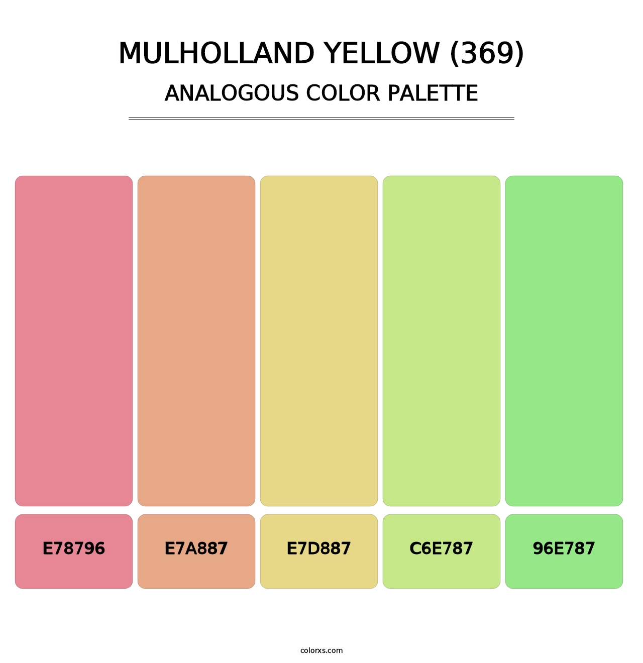 Mulholland Yellow (369) - Analogous Color Palette