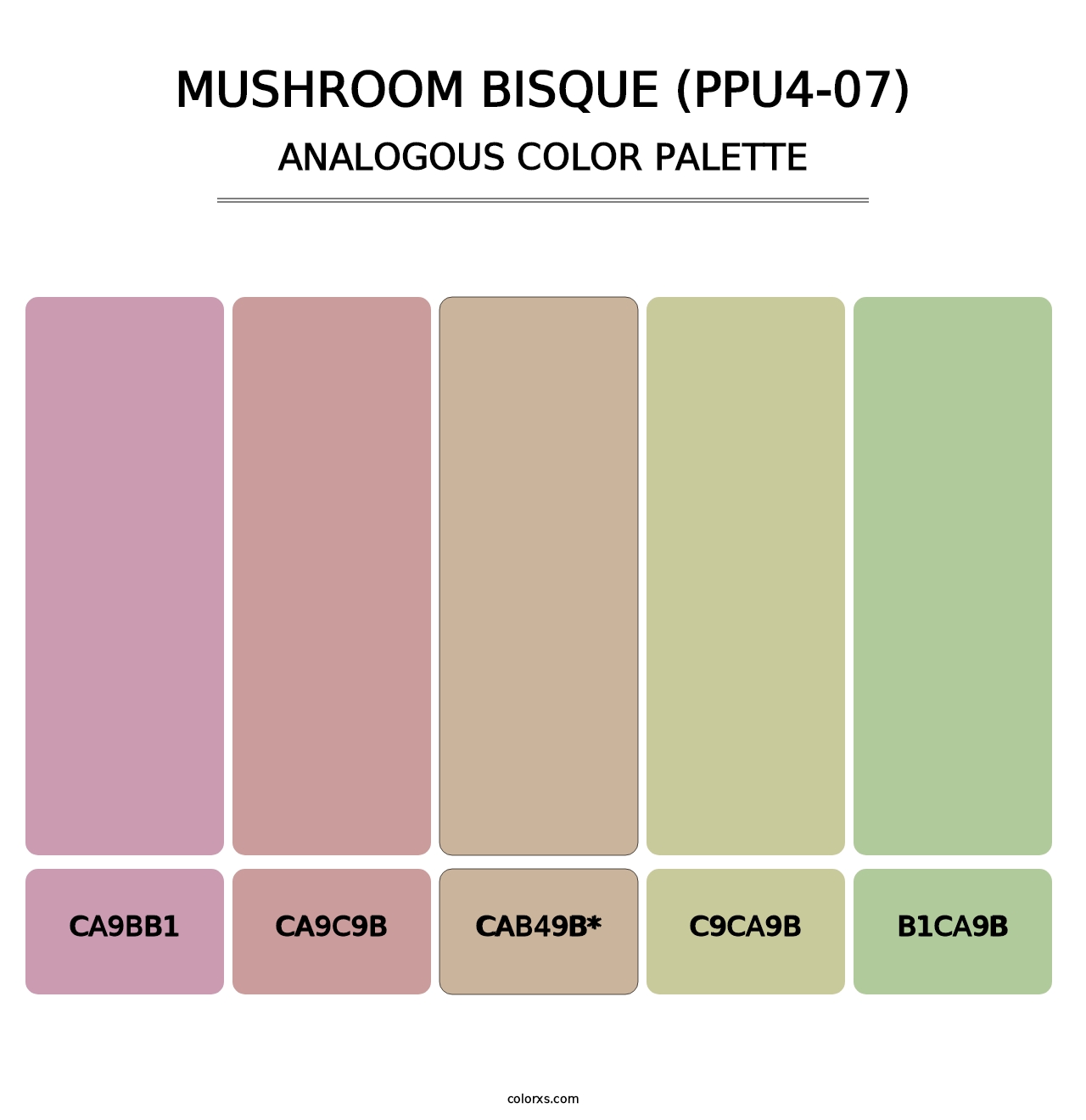 Mushroom Bisque (PPU4-07) - Analogous Color Palette