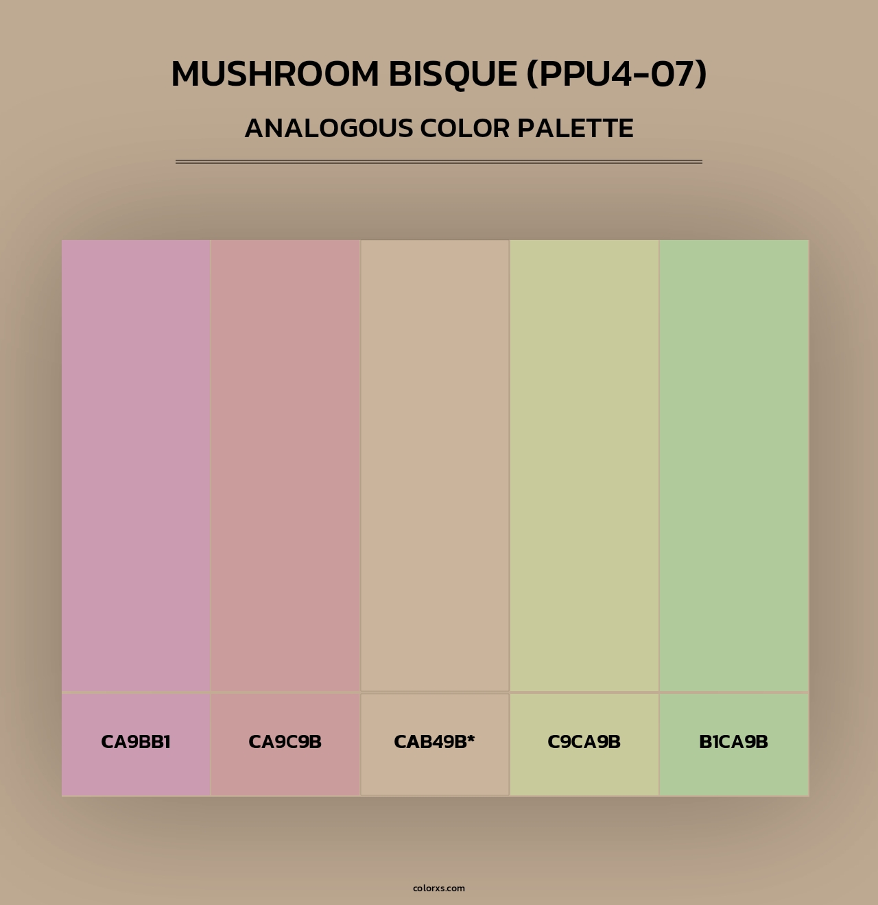 Mushroom Bisque (PPU4-07) - Analogous Color Palette