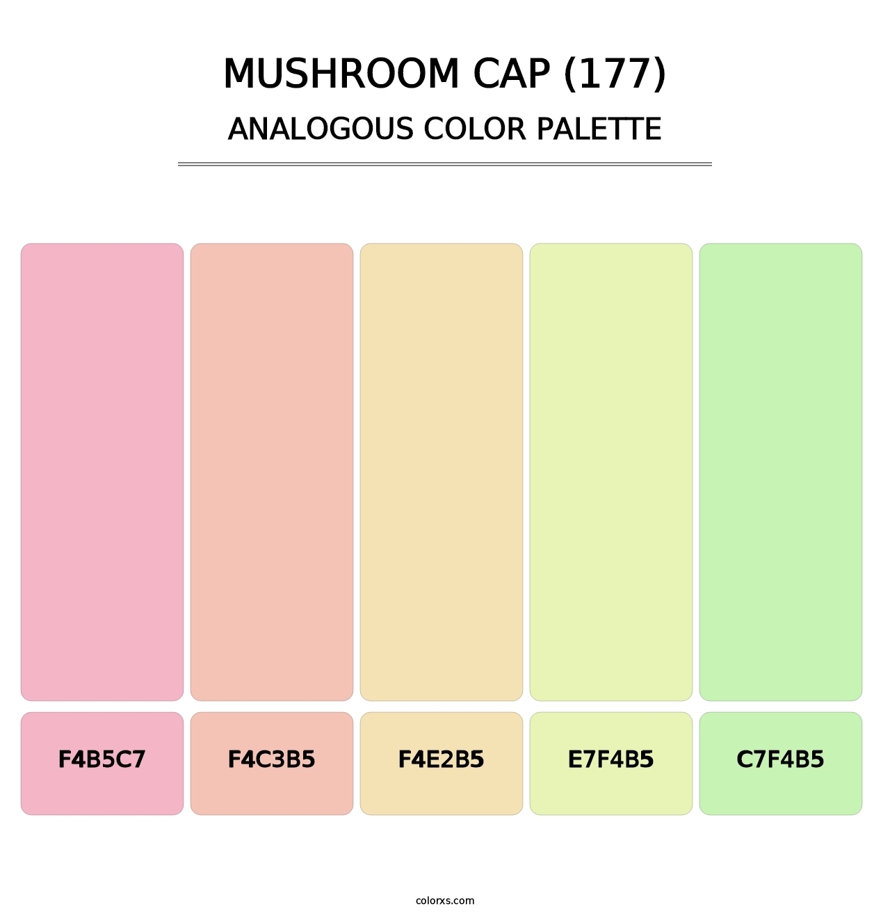 Mushroom Cap (177) - Analogous Color Palette