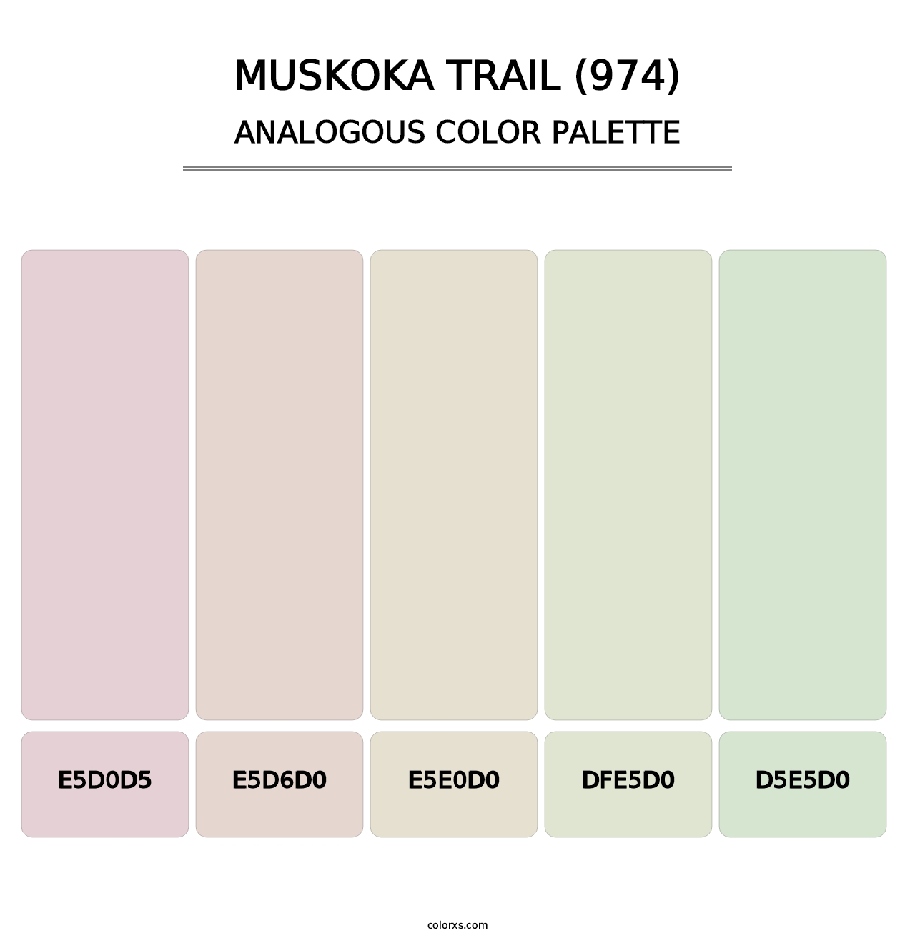 Muskoka Trail (974) - Analogous Color Palette