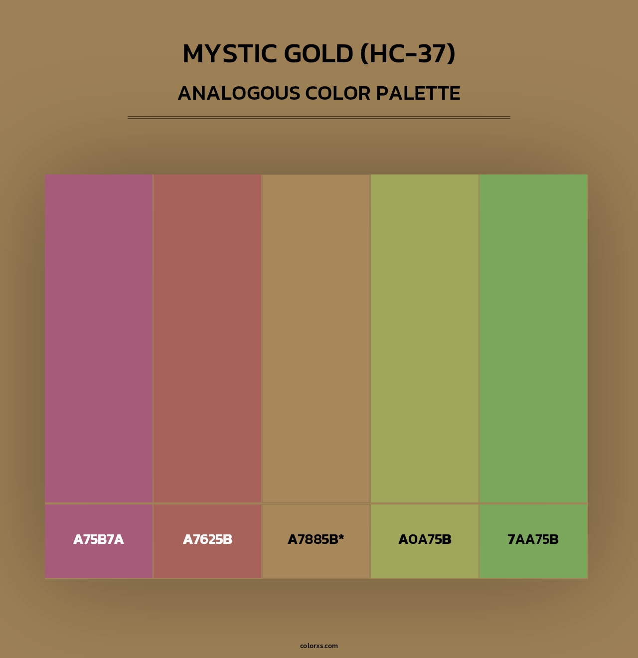 Mystic Gold (HC-37) - Analogous Color Palette