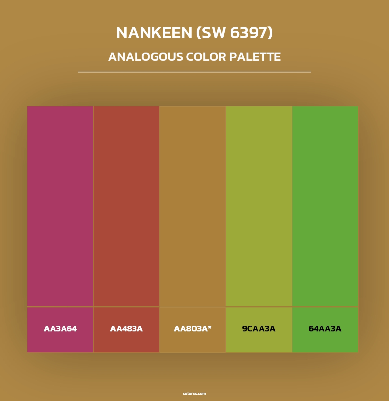 Nankeen (SW 6397) - Analogous Color Palette