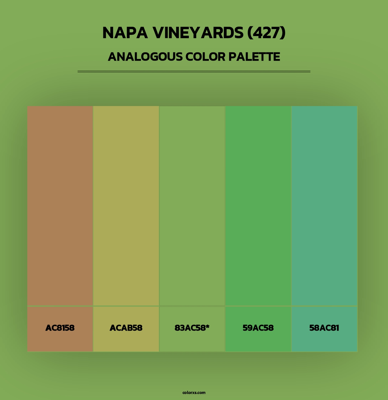 Napa Vineyards (427) - Analogous Color Palette