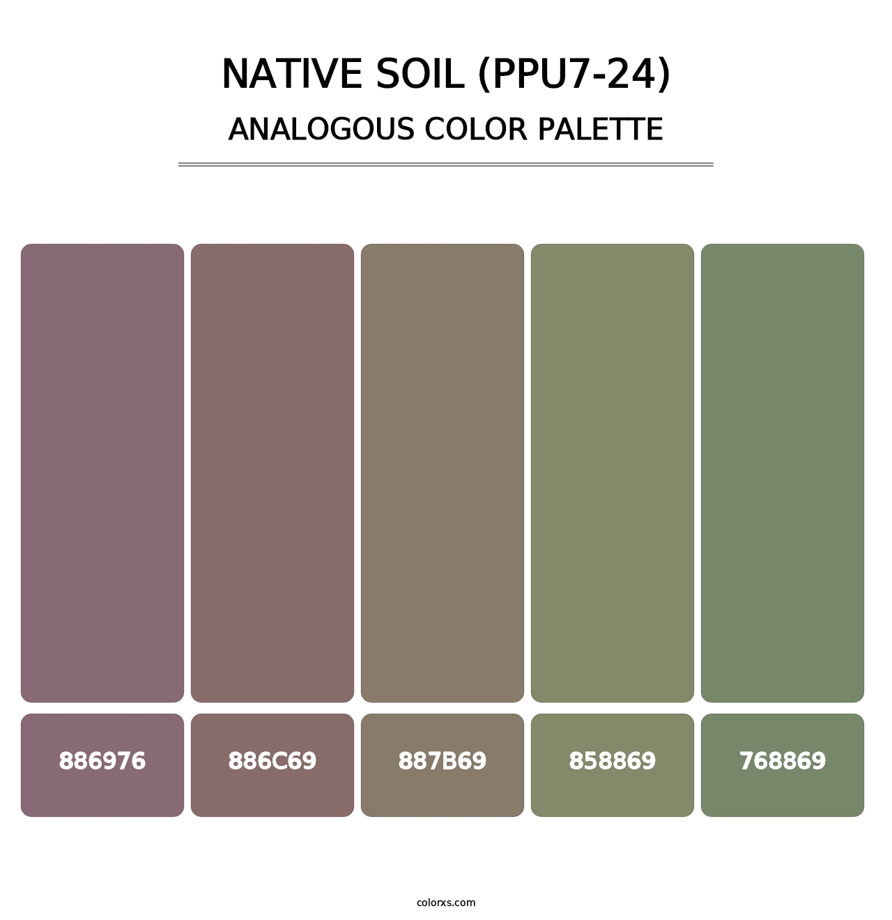 Native Soil (PPU7-24) - Analogous Color Palette