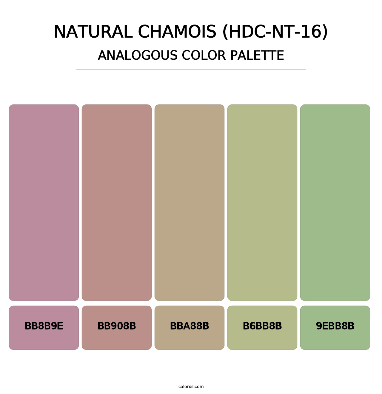 Natural Chamois (HDC-NT-16) - Analogous Color Palette