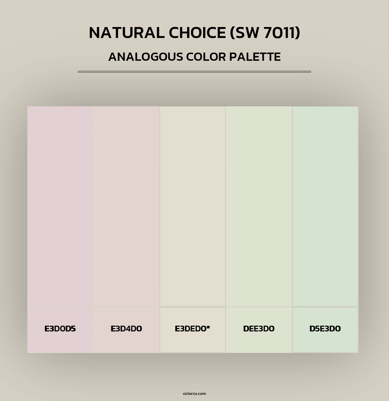 Natural Choice (SW 7011) - Analogous Color Palette