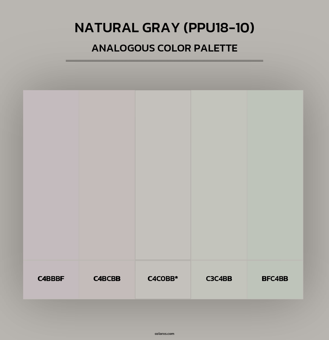 Natural Gray (PPU18-10) - Analogous Color Palette