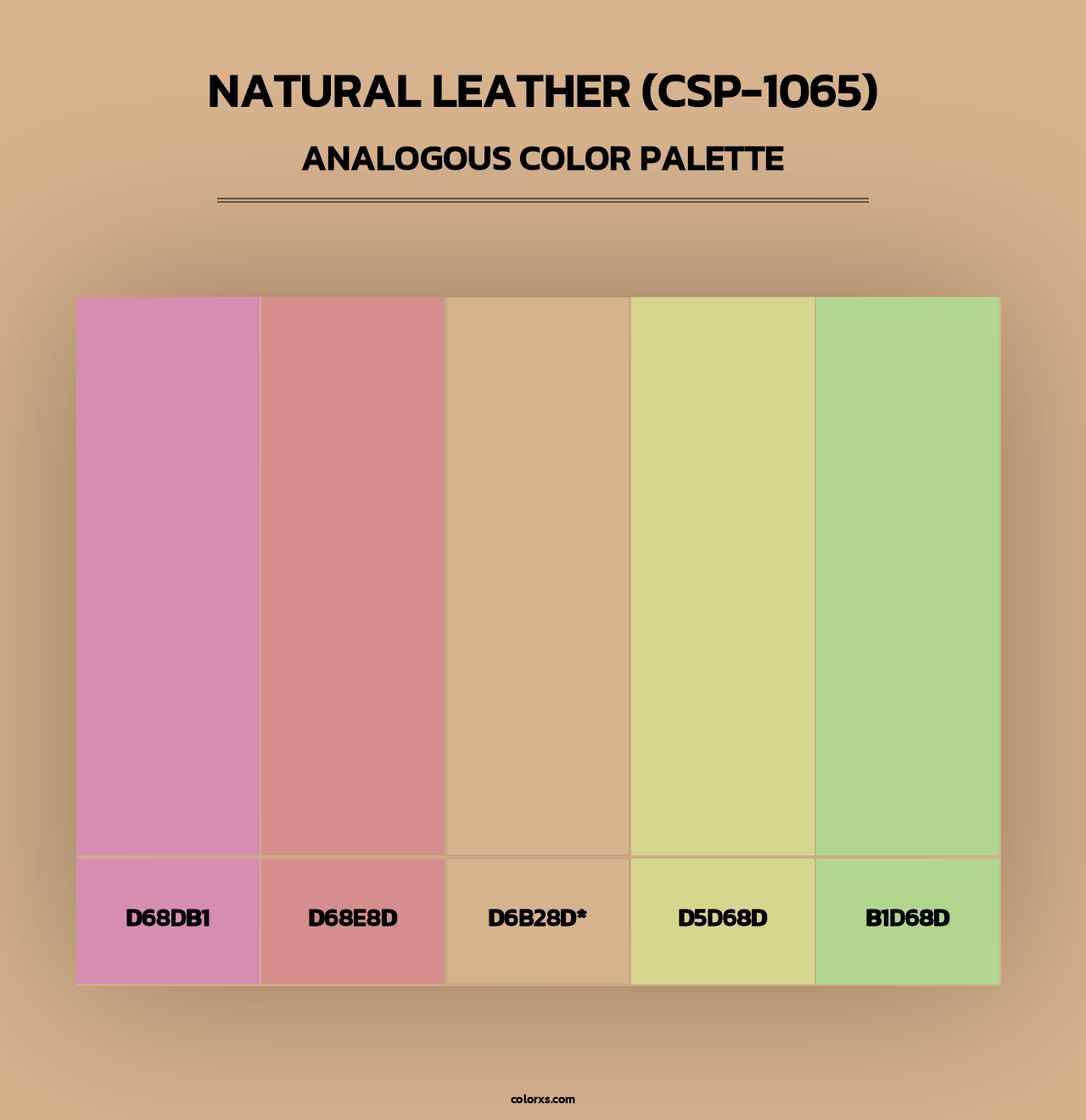 Natural Leather (CSP-1065) - Analogous Color Palette