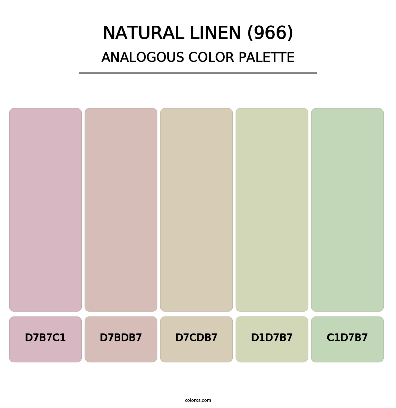 Natural Linen (966) - Analogous Color Palette