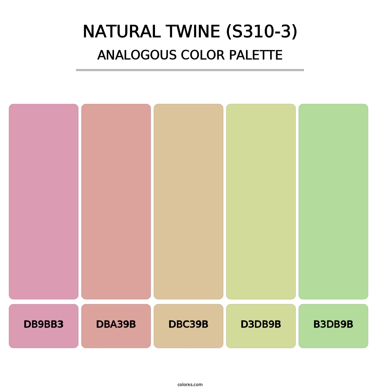 Natural Twine (S310-3) - Analogous Color Palette