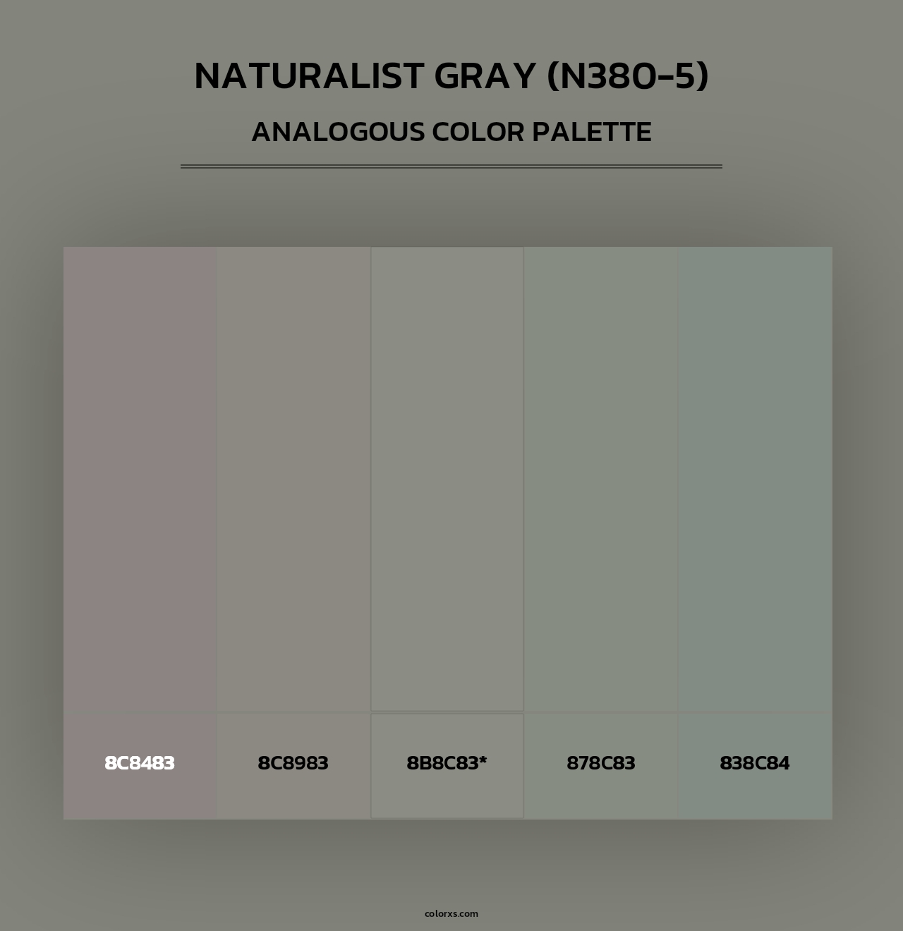 Naturalist Gray (N380-5) - Analogous Color Palette
