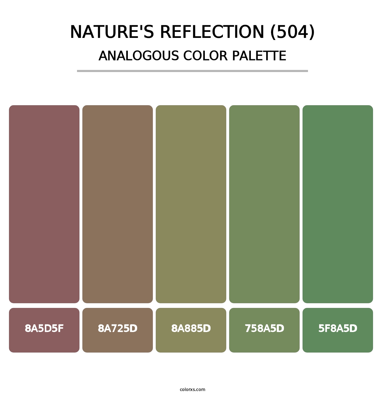 Nature's Reflection (504) - Analogous Color Palette